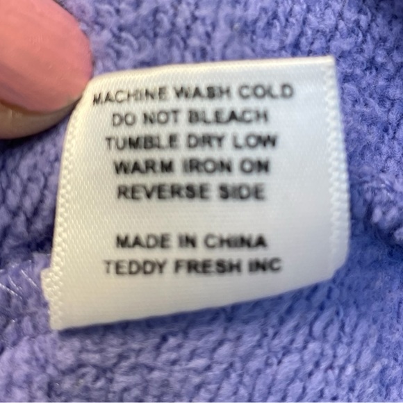 Teddy Fresh Color-block Heavyweight 100% Cotton Hoodie Size Small EUC - Picture 6 of 13